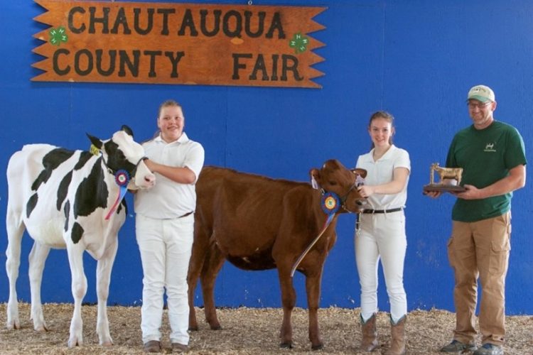 4H Dairy Show Winners Announced News, Sports, Jobs Post Journal